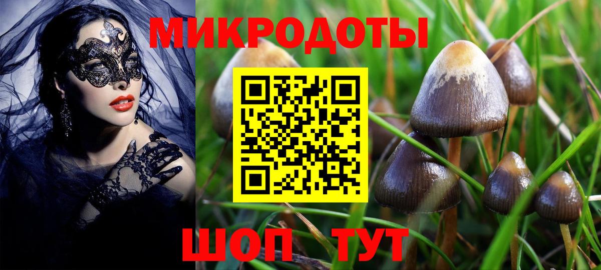 Псилоцибиновые грибы GOLDEN TEACHER  Вход с VPN  магазин продажи   Галлюциногенные грибы ЛСД  Тосно 
