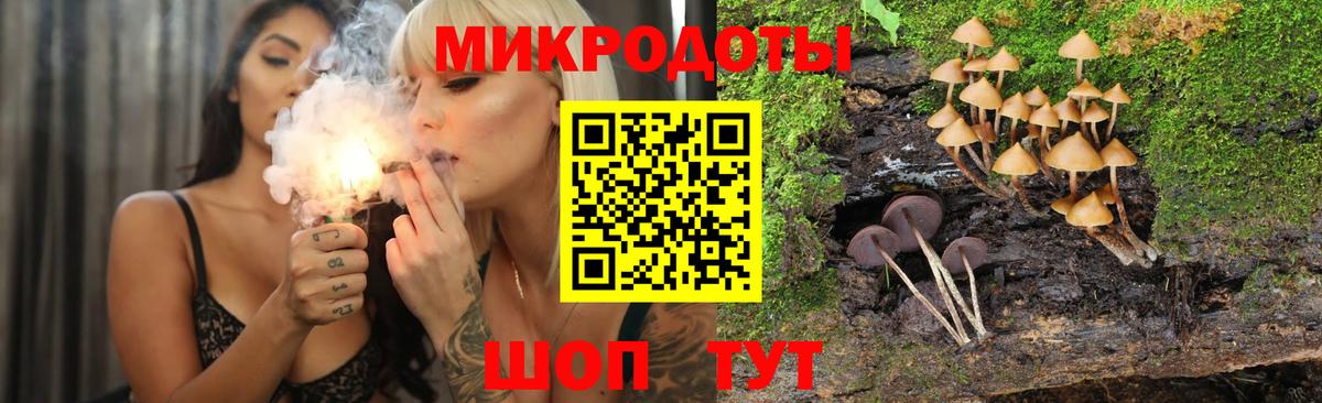 Псилоцибиновые грибы ЛСД Тосно